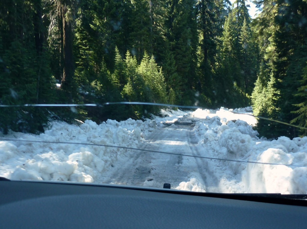 They just plowed the acsess road for Mcloughlin.