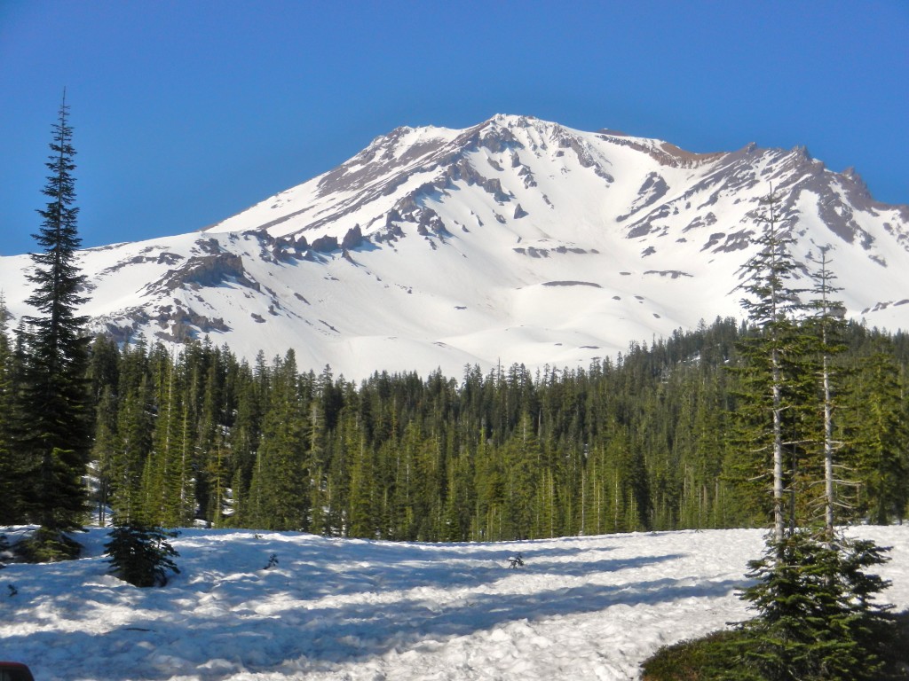 Mt Shasta Avalanche Gulch